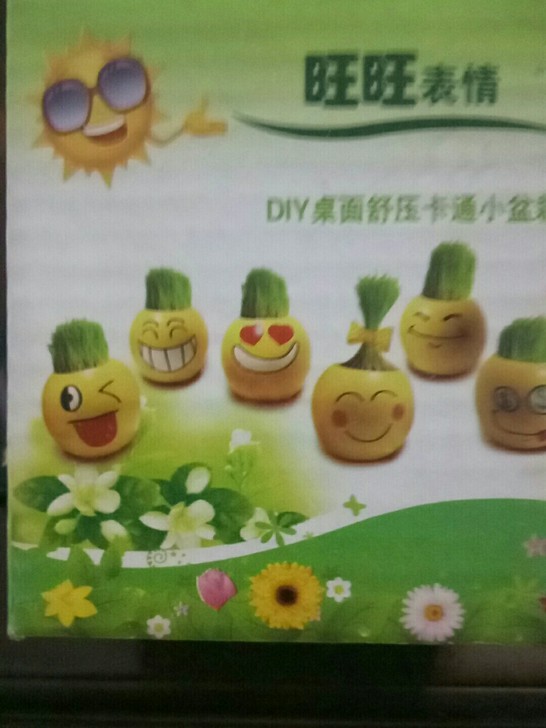 可爱的稻草娃娃