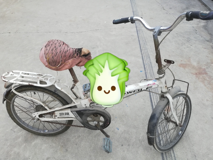 跑狼自行车给钱就卖，整理一下很好奇，同城附...