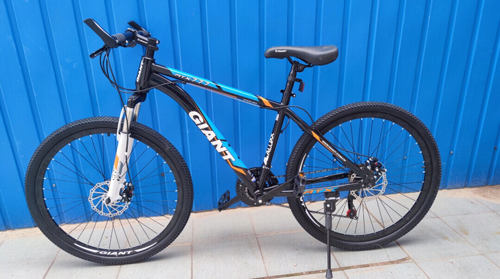 正品全新得非二手捷安特山地车自行车男女中青...