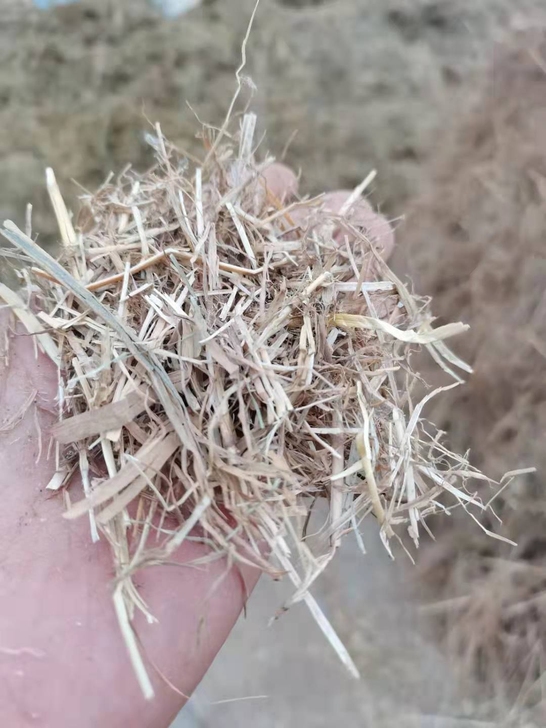 马牛羊饲料，牧草，青干草，麦秸，芦苇，稻草...