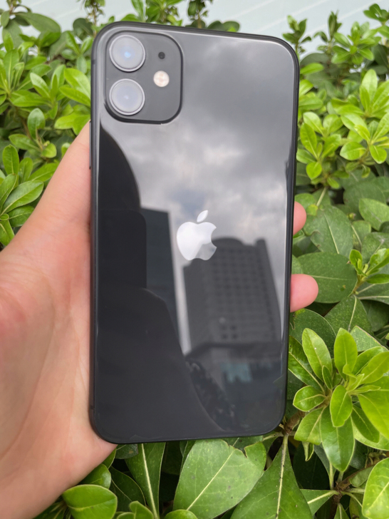 iPhone 11
