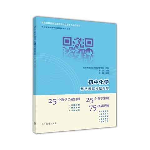 初中化学教学关键问题指导 罗滨 王磊 中小...