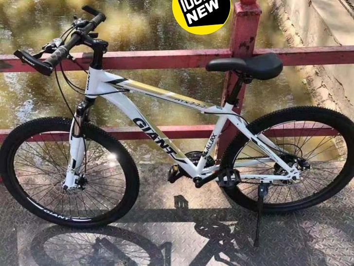 捷安特山地车自行车男女中青年学生变速单车减...