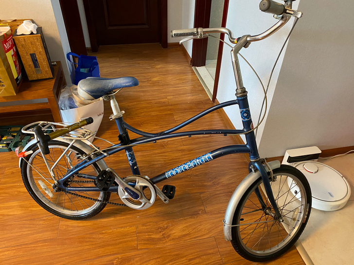 捷安特莫曼顿momentum ithin...