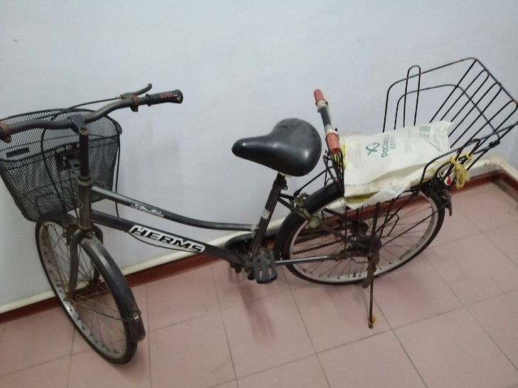 海尔曼斯自行车,车筐和后面小孩座位自己加的...