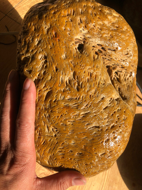 大家伙稻草纹绝对极品 30长22高 2...