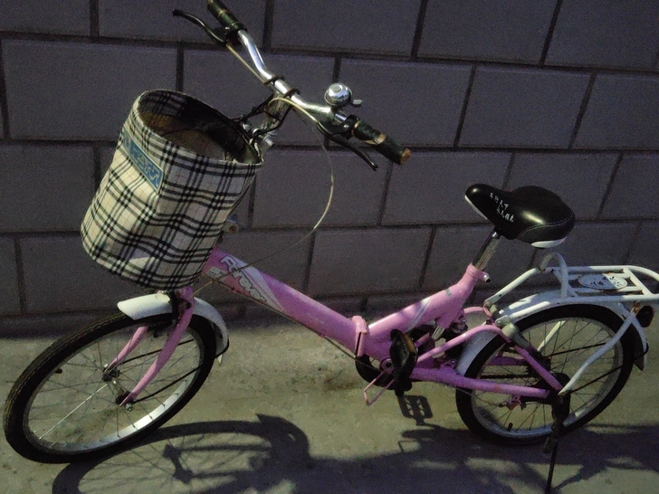 转手原因 孩子不骑，闲置！