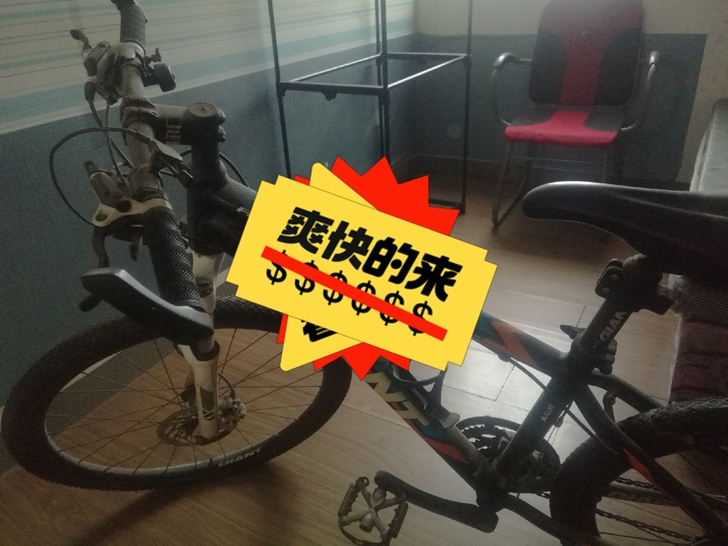 回家着急处理闲置捷安特山地自行车atx77...