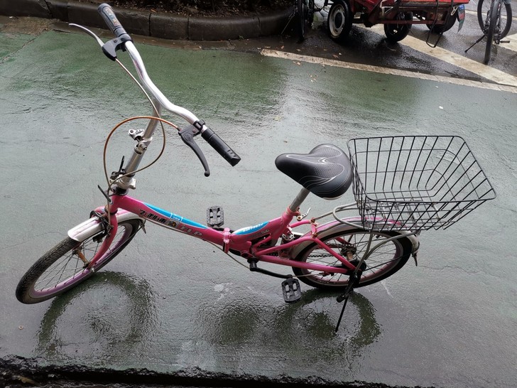 今日福利车：20寸飞利浦折叠车，后面带个书...