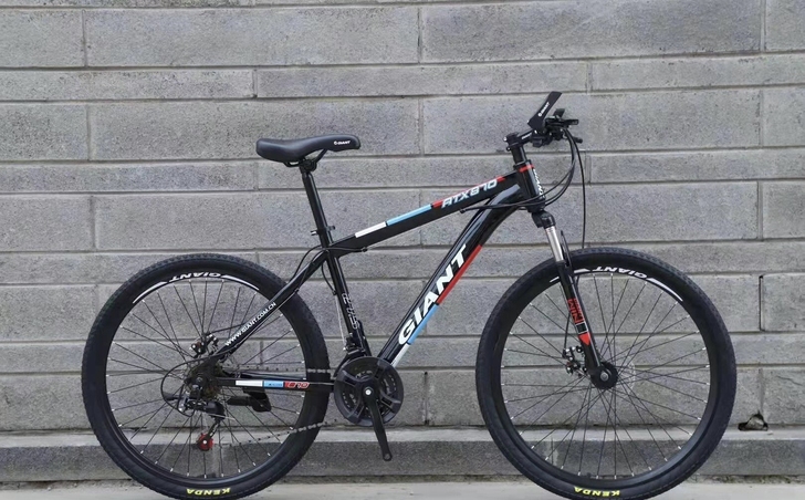 【库存清理】捷安特自行车山地车男女中青年学...