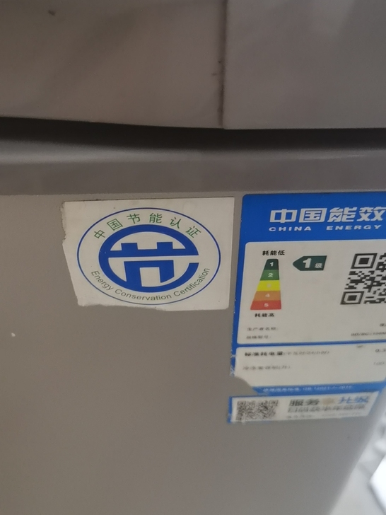容声冰箱品牌，100L8成新