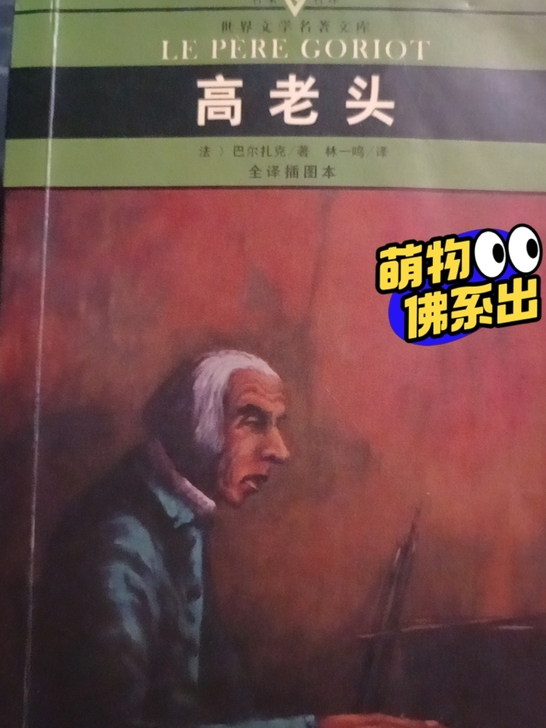 巴尔扎克名著高老头/教你做优秀出纳（￥14...