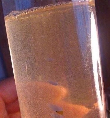 草履虫液观赏鱼幼鱼开口饲料 450毫升15...