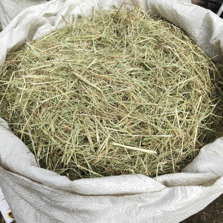 稻草纤维碎稻草，宠物垫窝保暖草！5斤一包。...