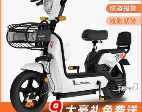 2022新款新国标成人电动自行车锂电池电瓶...