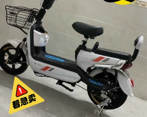 【一情原因厂家积压库存处理】新款国标电动车...