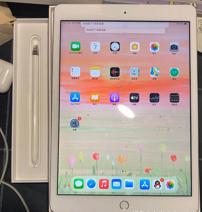 个人闲置出 ipad 2019款 iPad...
