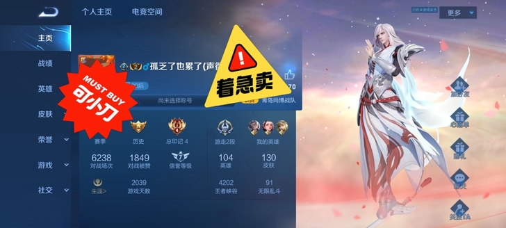 安卓q区，104个英雄130个皮肤，因为a...