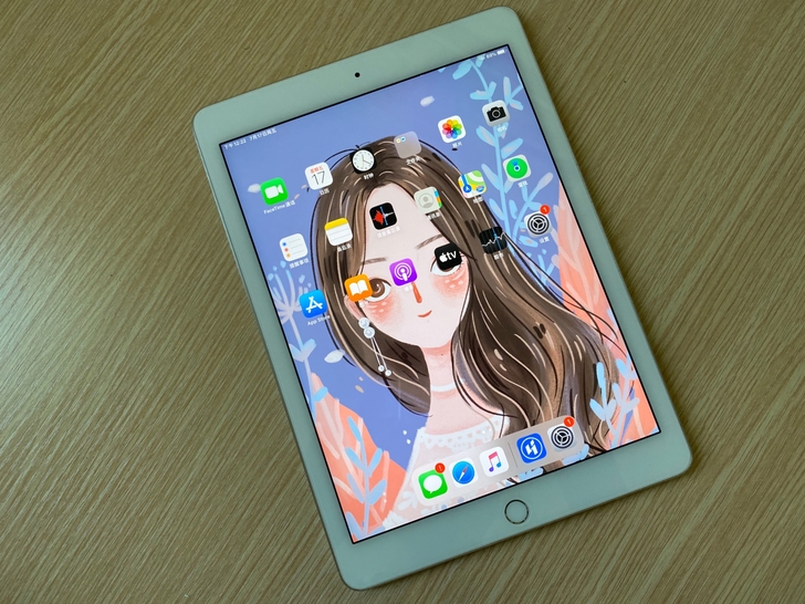 闲置自用ipad 6 air2(64G)平...