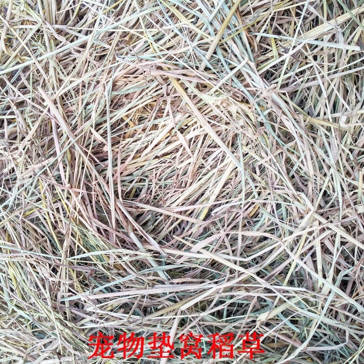 稻草碎干草垫窝宠物鸟类狗兔子保暖天然谷草树...