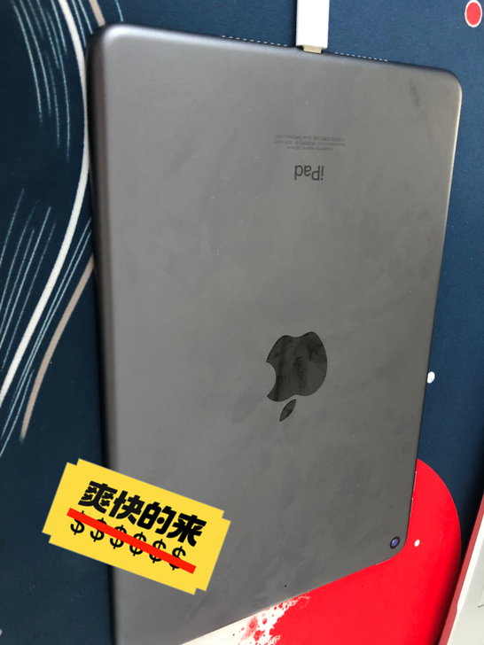 自用iPadmini5，64g，国行wif...