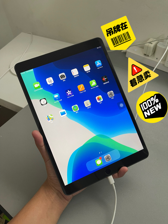 国行iPad Air3 256G插卡版本，...