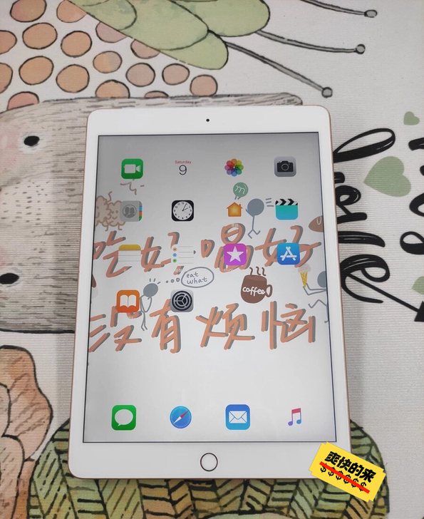 ipad2019 #32g 去年上网课 几...