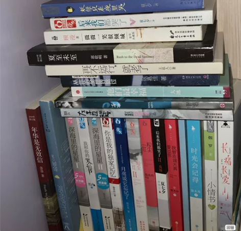 二手书九成新 各种小说/青春文学/随笔/散...