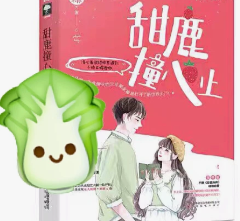 青春文学小说言情小说 适合初高中学生 高中...