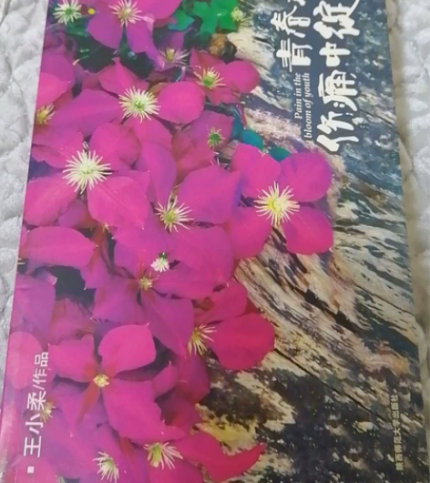 《青春在伤痛中绽放》王小柔作品 青春文学 ...