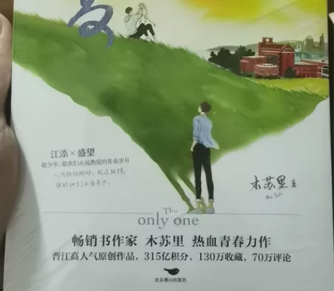 盛夏 木苏里著 晋江高分青春文学言情小说 ...