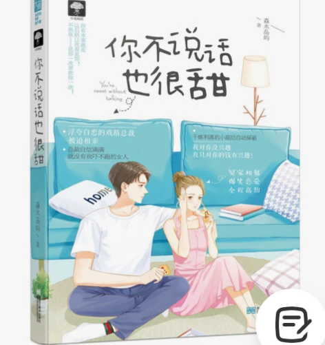 青春文学小说《你不说话也很甜》，几乎全新 ...