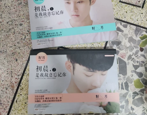 籽月小说 青春小说 初晨，是我故意忘记你1...