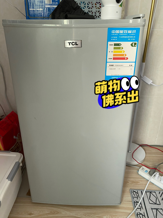 租房用单门小冰箱，还很新，制冷效果很好