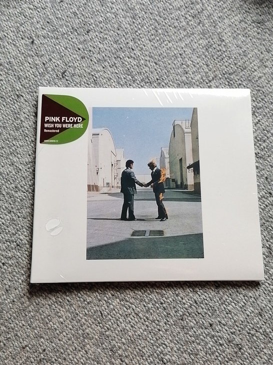 Pink Floyd Wish You W...