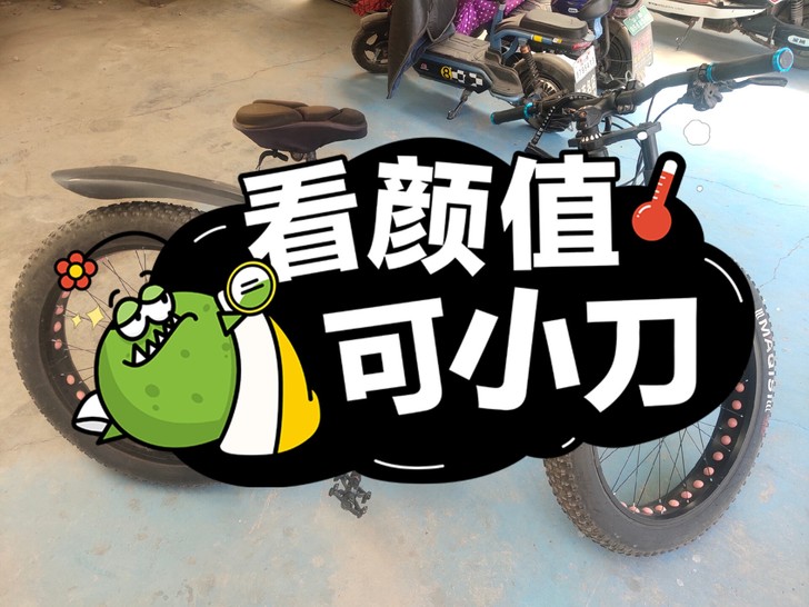 27速山地车因搬家处理，480元！九成新！