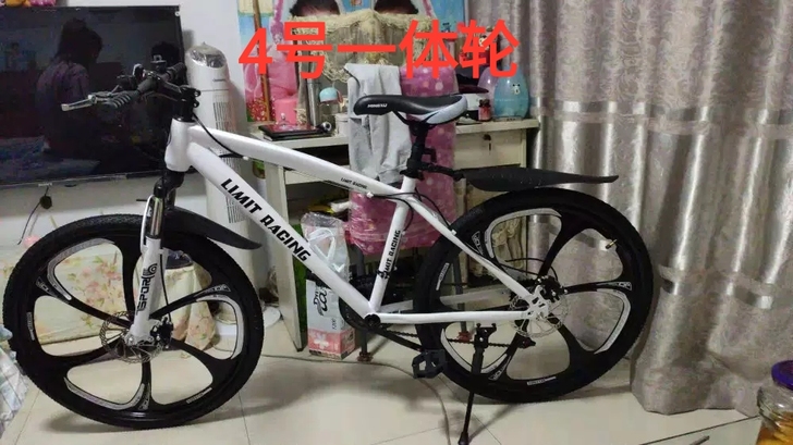 全新未拆封变速自行车 变速车 全新变速车 ...