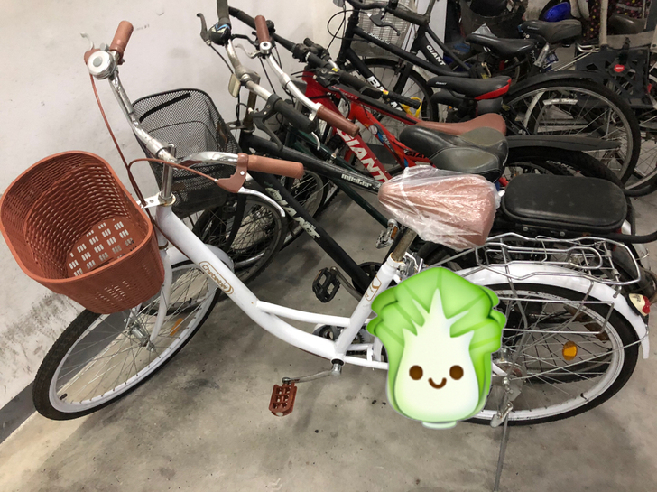 自行车女式轻便成年成人普通代步通勤上班复古...