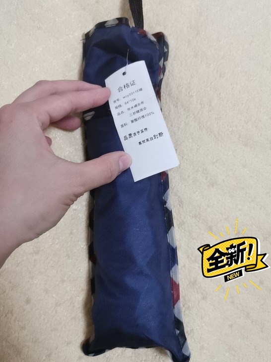 闲置图中纹路的折叠伞