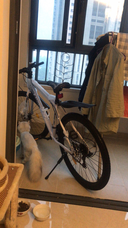 全新21速山地自行车，周日刚到的车子，今天...
