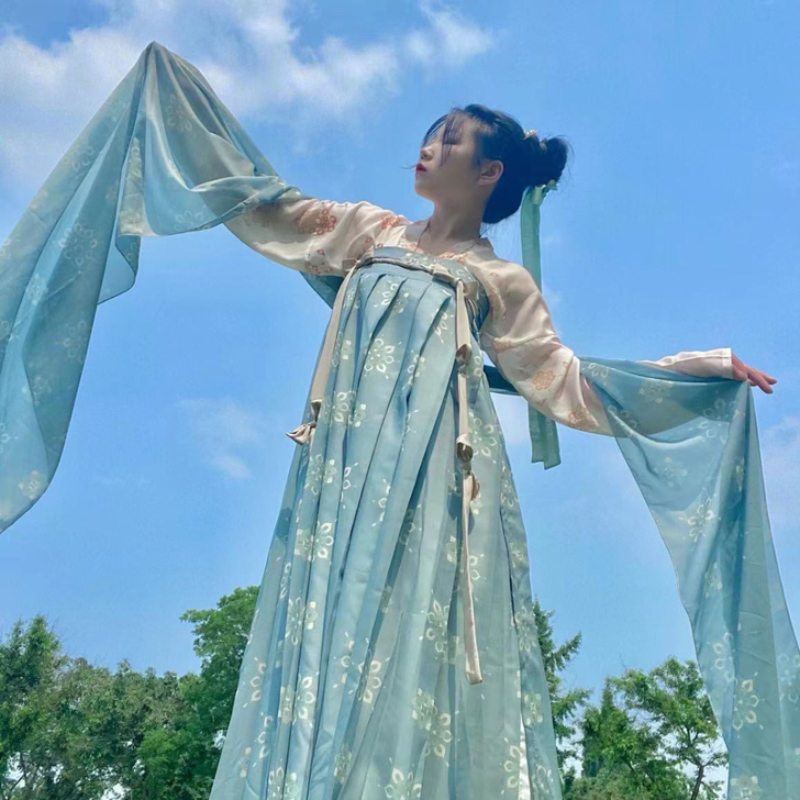 汉服女唐制一片式复原印花齐胸裙春夏秋款