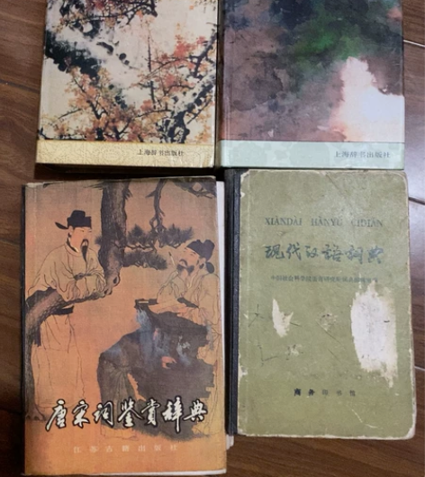 《唐宋词鉴赏辞典》《新诗鉴赏辞典》《现代散...