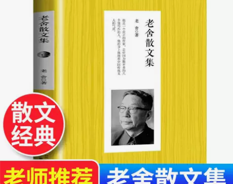 老舍散文集中国名家散文精选现当代散文集随笔...