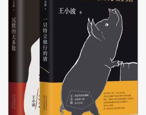 沉默的大多数 纪念版 王小波杂文精选集 一...