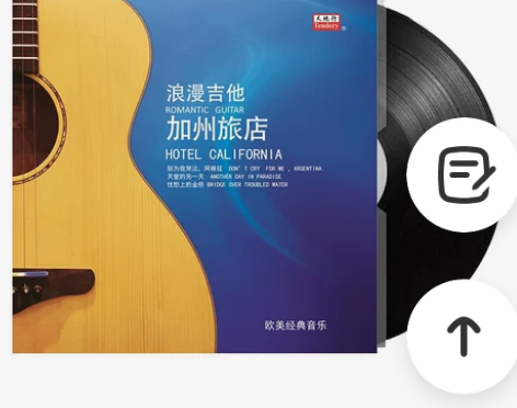 undefined。加州旅馆。吉他 黑胶唱...