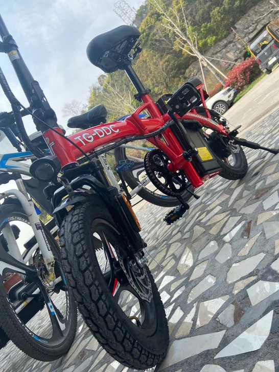 电动小电驴自行车买菜妈妈神器可脚蹬有照明