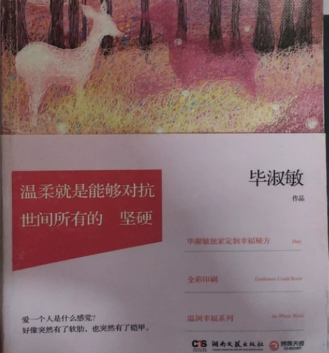 毕淑敏 名家经典 出个邮费就卖19.9 卖...