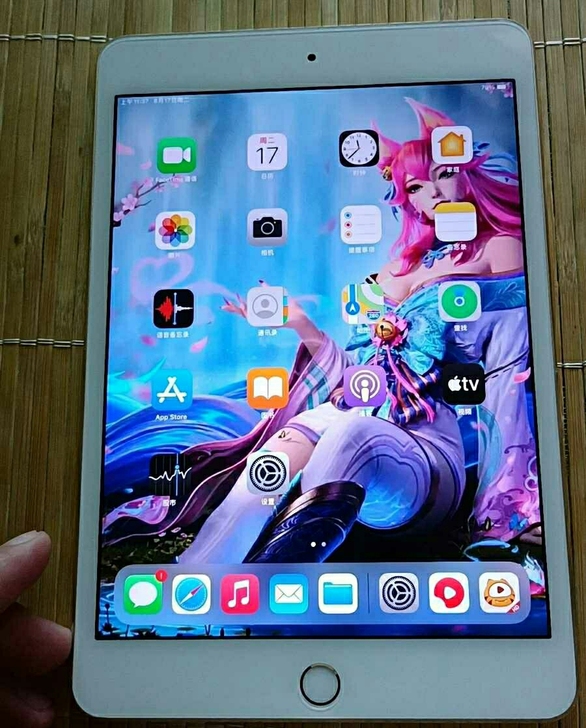 ipad mini4 32g 各项功能正常...