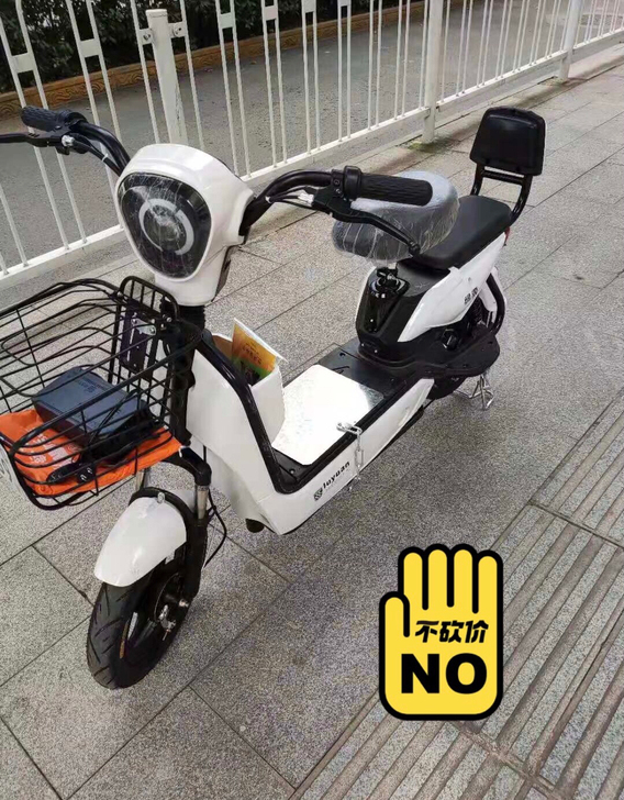 绿源电动车，99成新，实物图，6月份才买的...