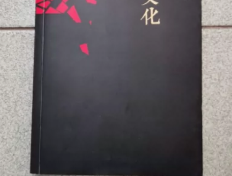 何谓文化 余秋雨 长江文艺出版社 闲鱼优品...